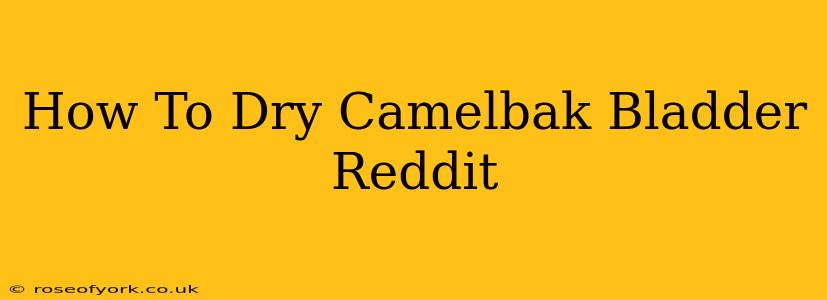 How To Dry Camelbak Bladder Reddit