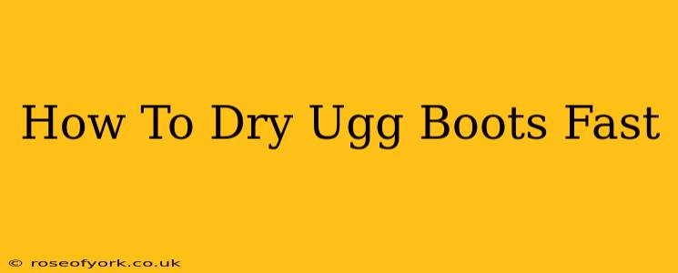 How To Dry Ugg Boots Fast