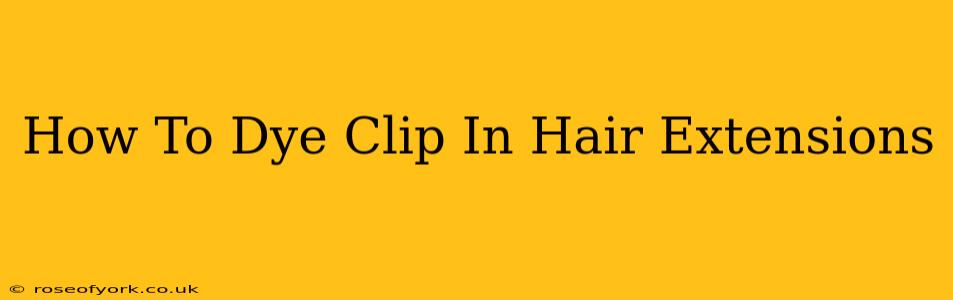 How To Dye Clip In Hair Extensions