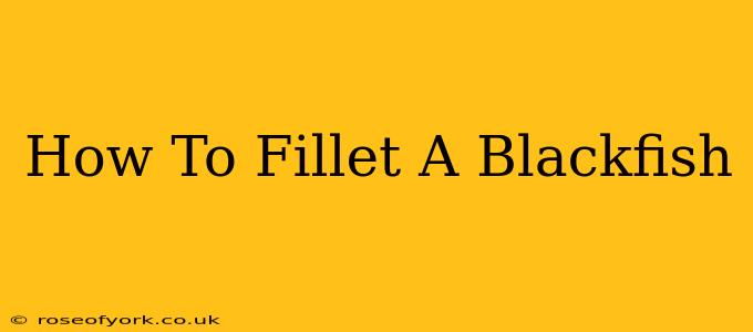 How To Fillet A Blackfish