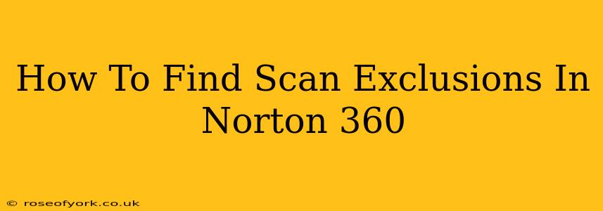 How To Find Scan Exclusions In Norton 360