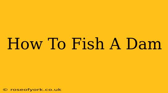 How To Fish A Dam