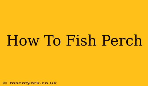 How To Fish Perch