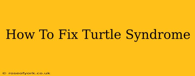 How To Fix Turtle Syndrome