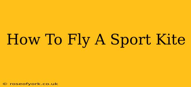 How To Fly A Sport Kite