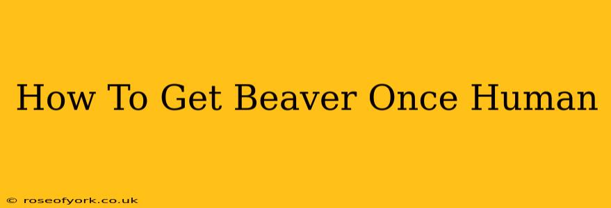 How To Get Beaver Once Human