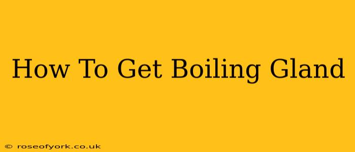 How To Get Boiling Gland