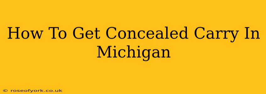 How To Get Concealed Carry In Michigan