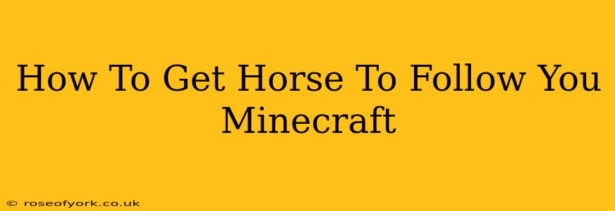 How To Get Horse To Follow You Minecraft