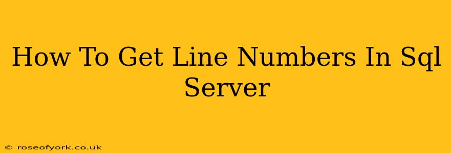 How To Get Line Numbers In Sql Server