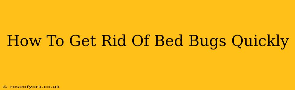 How To Get Rid Of Bed Bugs Quickly