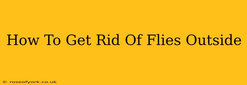 How To Get Rid Of Flies Outside