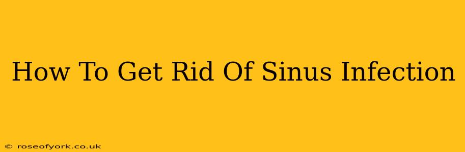 How To Get Rid Of Sinus Infection