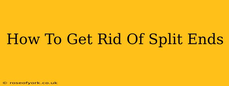 How To Get Rid Of Split Ends