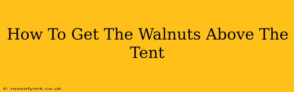 How To Get The Walnuts Above The Tent