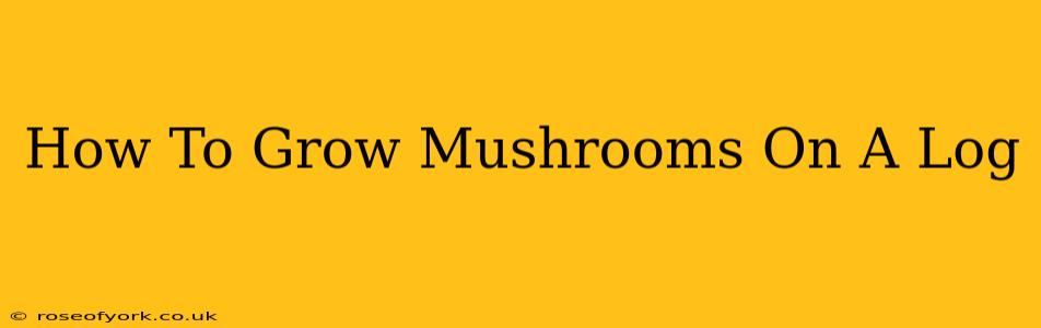 How To Grow Mushrooms On A Log