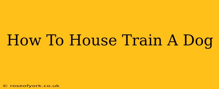 How To House Train A Dog