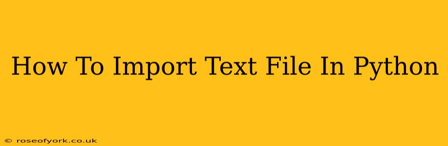 How To Import Text File In Python