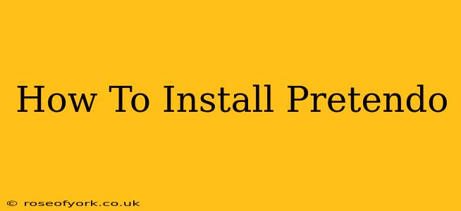 How To Install Pretendo