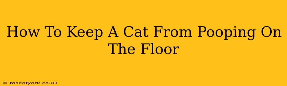 How To Keep A Cat From Pooping On The Floor