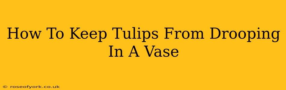 How To Keep Tulips From Drooping In A Vase