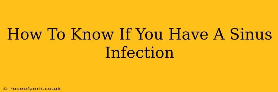 How To Know If You Have A Sinus Infection