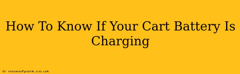 How To Know If Your Cart Battery Is Charging