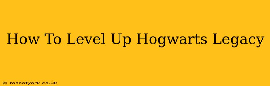 How To Level Up Hogwarts Legacy