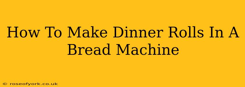 How To Make Dinner Rolls In A Bread Machine