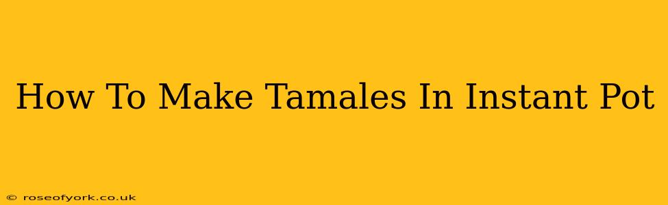 How To Make Tamales In Instant Pot