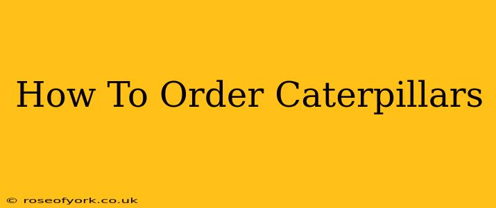 How To Order Caterpillars