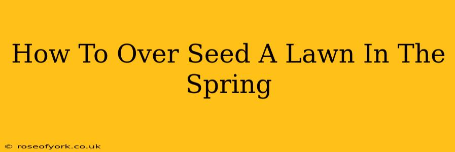 How To Over Seed A Lawn In The Spring