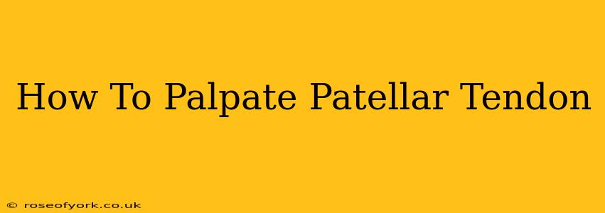 How To Palpate Patellar Tendon