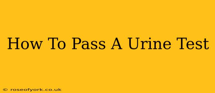 How To Pass A Urine Test