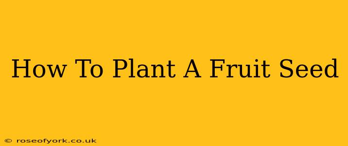 How To Plant A Fruit Seed