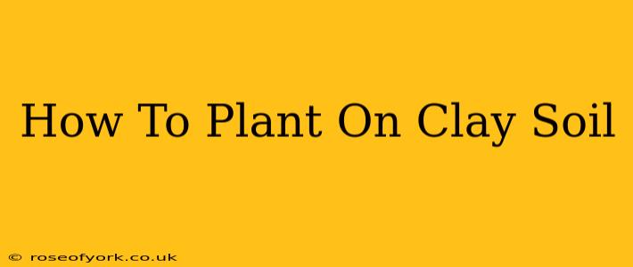 How To Plant On Clay Soil