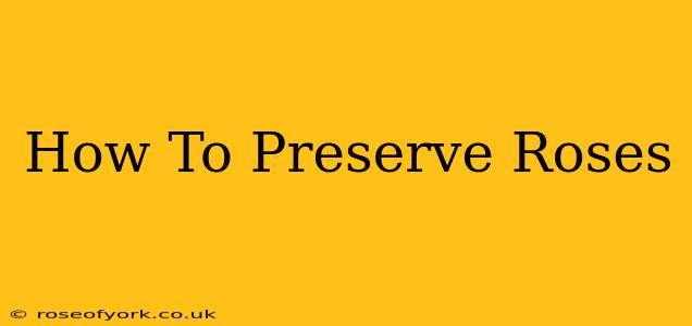 How To Preserve Roses