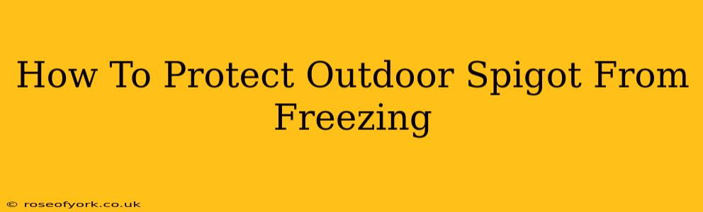 How To Protect Outdoor Spigot From Freezing