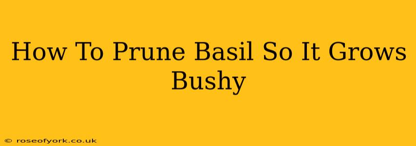 How To Prune Basil So It Grows Bushy