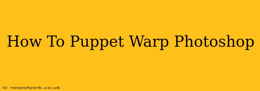 How To Puppet Warp Photoshop