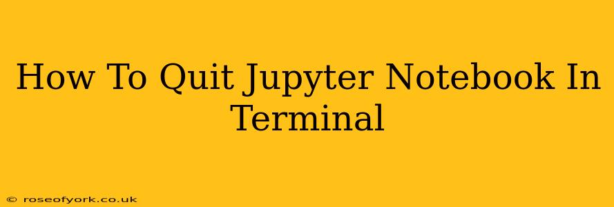 How To Quit Jupyter Notebook In Terminal