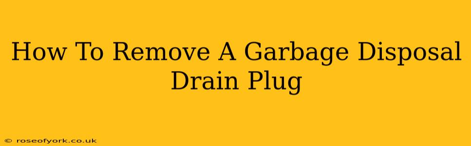 How To Remove A Garbage Disposal Drain Plug