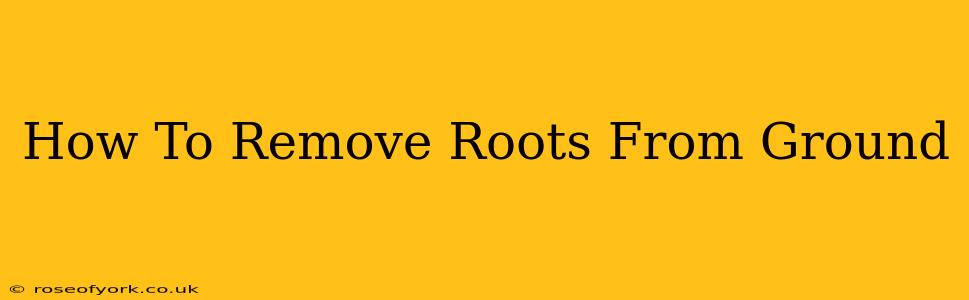 How To Remove Roots From Ground