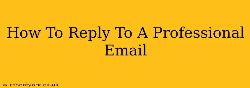 How To Reply To A Professional Email