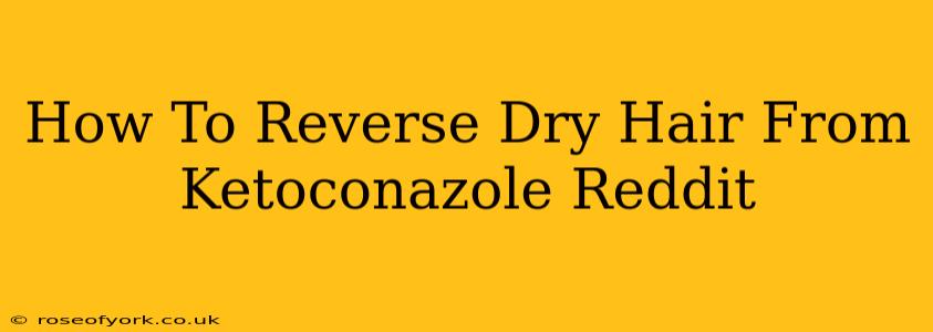 How To Reverse Dry Hair From Ketoconazole Reddit