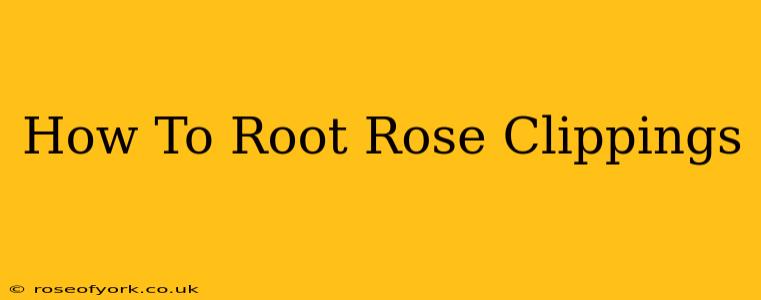 How To Root Rose Clippings