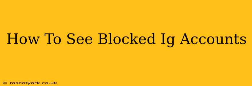 How To See Blocked Ig Accounts