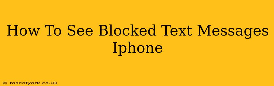 How To See Blocked Text Messages Iphone