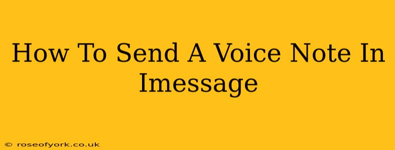 How To Send A Voice Note In Imessage