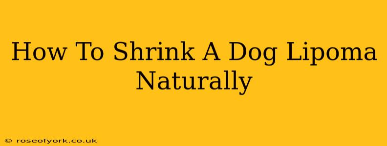 How To Shrink A Dog Lipoma Naturally